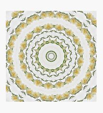 Creamy Yellow Rose Kaleidoscope Art 5 Photographic Print