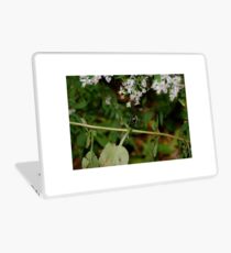 Bumble Laptop Skin
