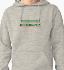 stop removing our artwork please Pullover Hoodie