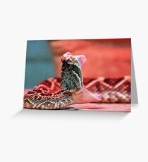 Rattle Snake Greeting Card
