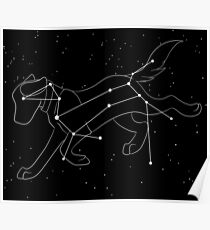 Sirius and The Canis Major Poster