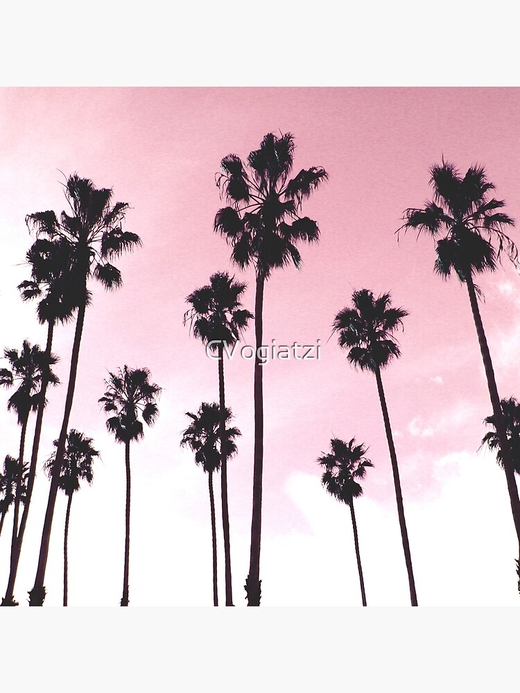 Palms & Sunset by CVogiatzi