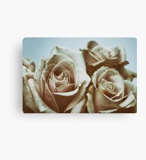 Fading Beauties Canvas Print