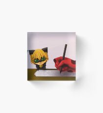Chat Noir and Ladybug Acrylic Block