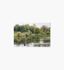 Waterfowl Art Board