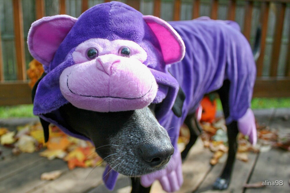 purple toy monkey