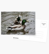 A Quacking Joke Postcards