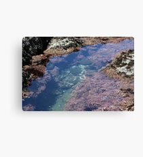 Tidal Pools Canvas Print