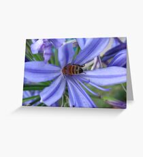 BusyBee Greeting Card