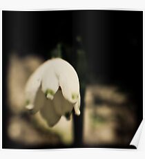 TTV Bell Poster
