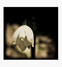 TTV Bell Photographic Print