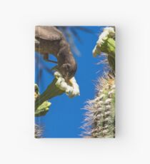 Deliсious Nectar Hardcover Journal