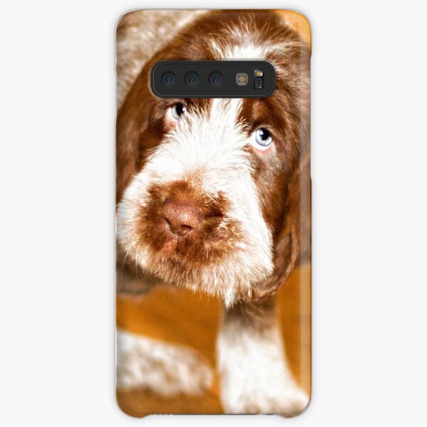 Brown Roan Italian Spinone Puppy Dog Samsung Galaxy Snap Case