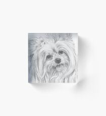 ShiChi Acrylic Block