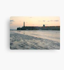 Harbour Arm Metal Print