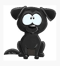 I am a black Labrador Photographic Print