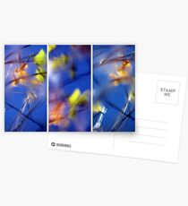 Beyond Blue - Triptych Postcards
