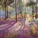 'Ironbark Shadows' by Lynda Robinson