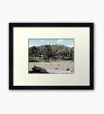 Beautiful Bungonia Framed Print
