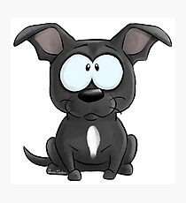I'm a Staffie Black White Photographic Print