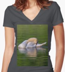 Mute swan in the early morning light Women's Fitted V-Neck T-Shirt