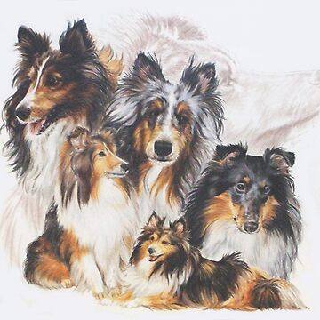 Artwork thumbnail, Shetland Sheepdog Grouping by BarbBarcikKeith