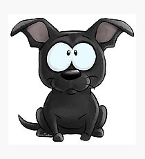 I'm a Black Staffie 2 Photographic Print