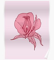 Vulva Rose Poster