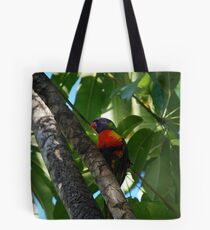 Broken Wing Tote Bag