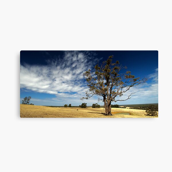 A Sun Burnt Country Canvas Print