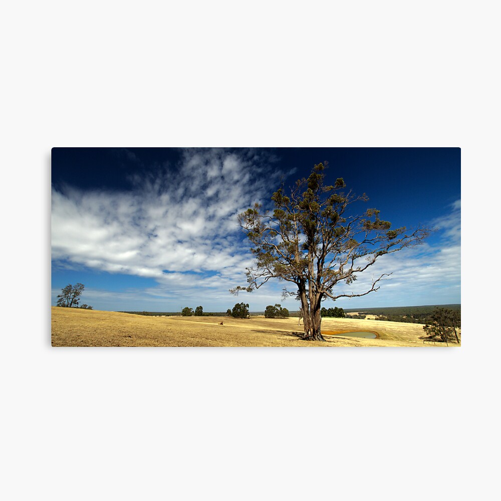 A Sun Burnt Country Canvas Print