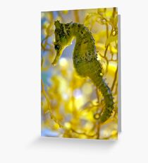 Seahorse Greeting Card