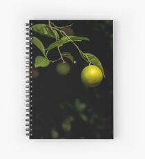Lime Spiral Notebook