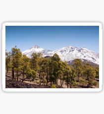 Looking Up to El Teide Sticker