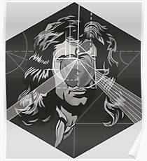 Newton Poster