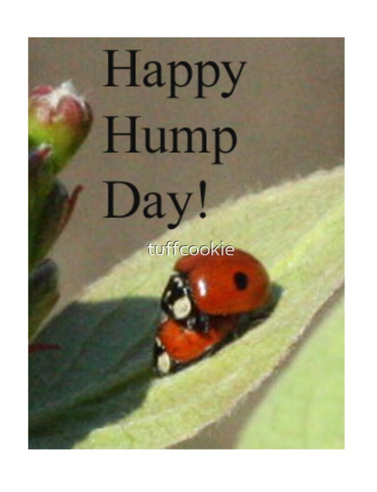 Happy Hump Day By Tuffcookie Redbubble