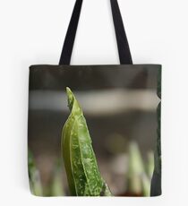 Oh Shoot(s)! Tote Bag