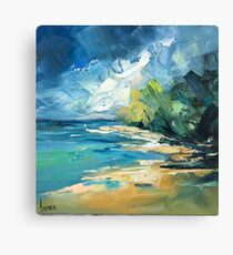 Coastal beauty Canvas Print