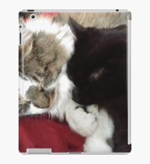 Snuggling Cats iPad Case/Skin