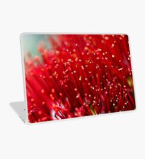 Pohutukawa Flower Laptop Skin