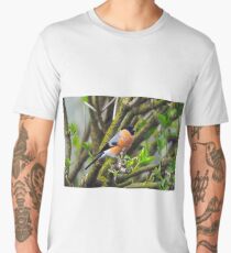 Male bullfinch Men's Premium T-Shirt