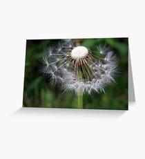 Puff Greeting Card