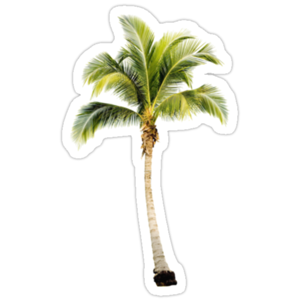 Palm Tree Metal Wall Art palm tree metal wall art | great furniture references Palm Tree Metal Wall Art palm tree metal wall art | great furniture references