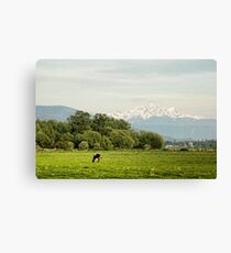 Farm Country Canvas Print