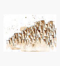 Giant's Causeway Photographic Print