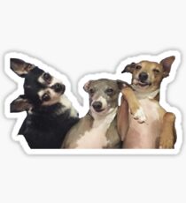 Marbles, Kermit And Peach Sticker