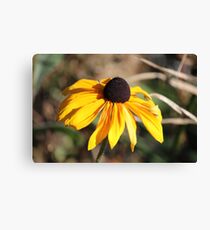 Yellow Bloom Canvas Print