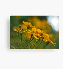 Yellow Canvas Print