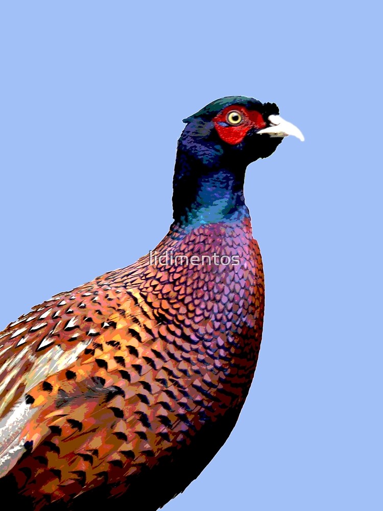 Pheasant by lidimentos