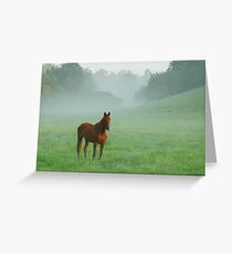 Only a Dream? Greeting Card